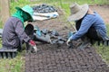 Taking some soil to small plastic bag.